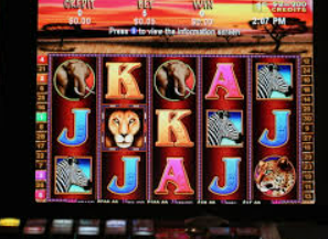 女王赏金赚钱app入口手机版